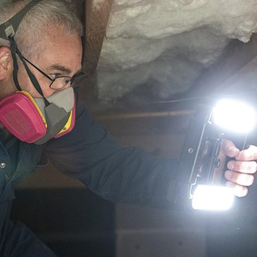 peter flashing a light during an inspection